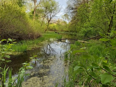 Obwodnicą przez Obszar Natura 2000